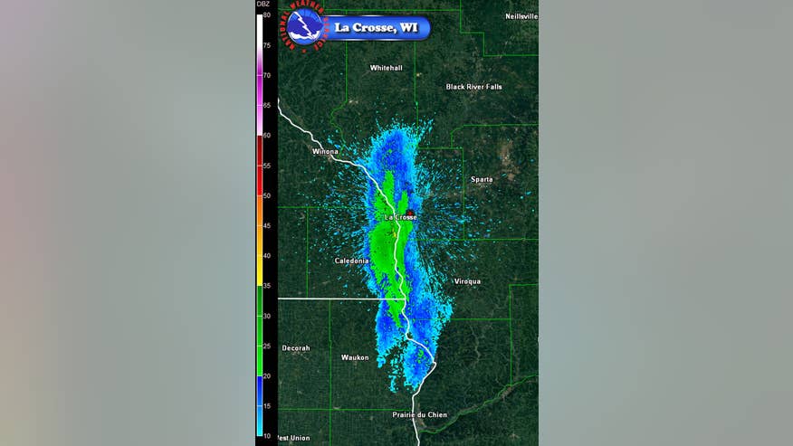 Mayfly Swarm Wisconsin-1.jpg